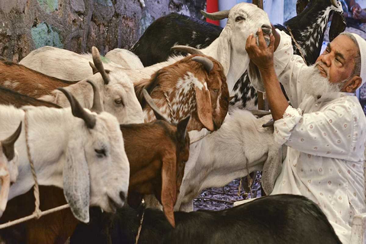 Eid al-Adha 2025: बकरीद पर क्यों दी जाती है कुर्बानी? जानिए हजरत इब्राहिम और इस्माईल की प्रेरणादायक कहानी